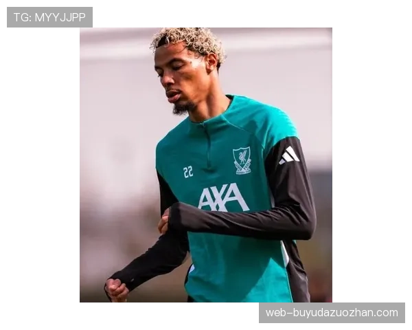 利物浦前锋埃基蒂克跟腱重伤，无缘2026年世界杯